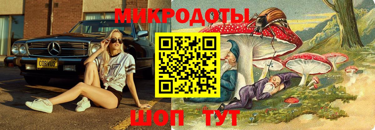 даркнет сайт  Псилоцибиновые грибы Cubensis  Вход с VPN  Алейск 