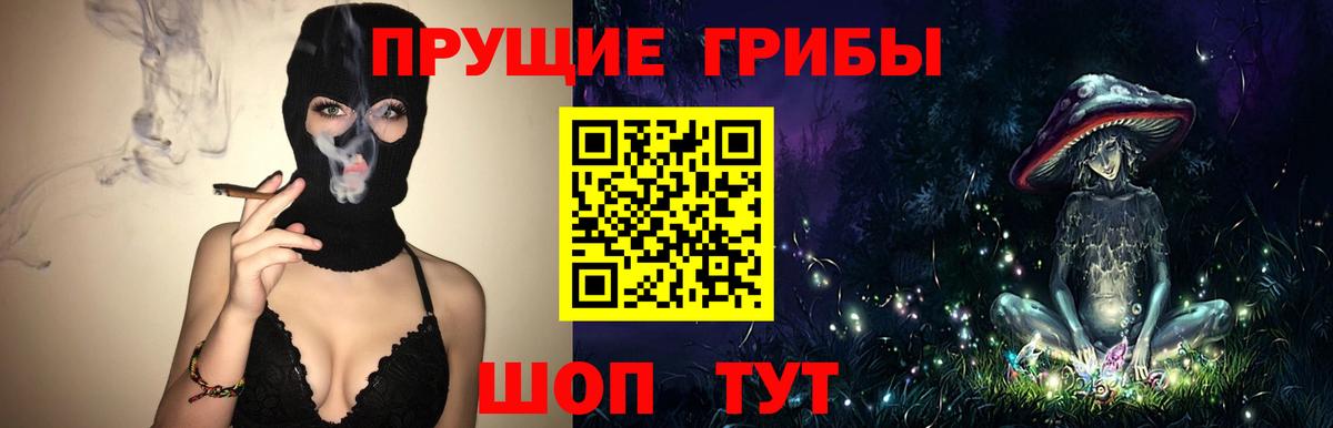 Псилоцибиновые грибы Psilocybe Алейск